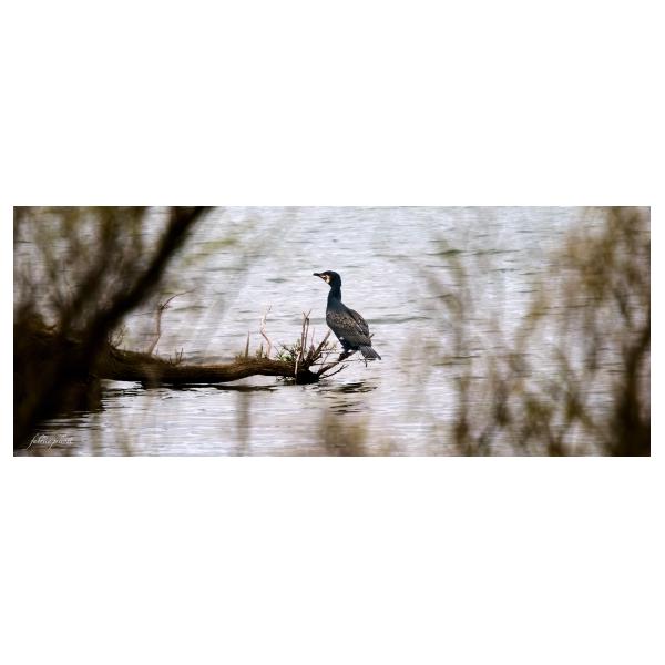 PHOTO84, CLUB, 84 , LUBERON